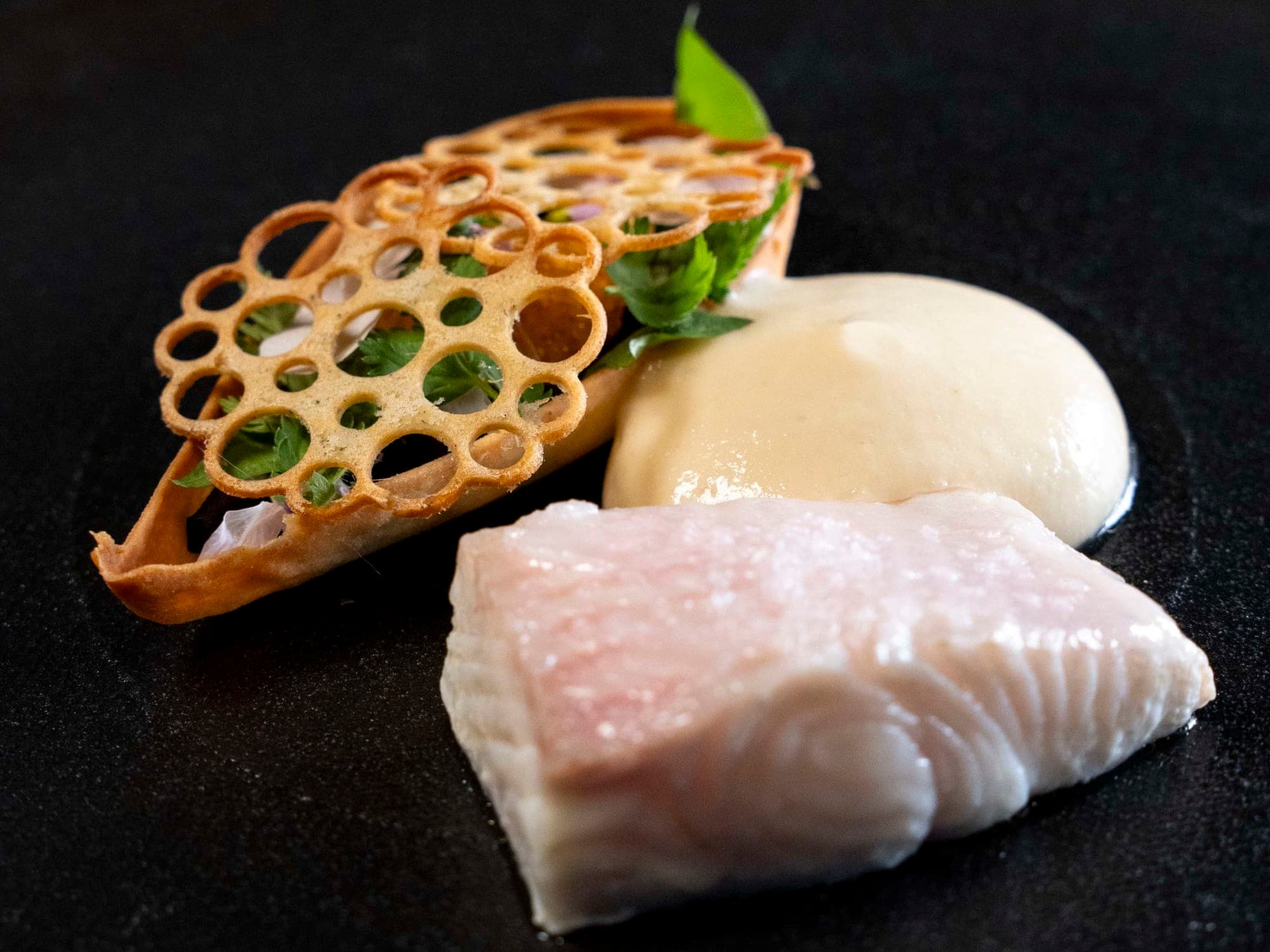 food on plate, high-end, luxury food