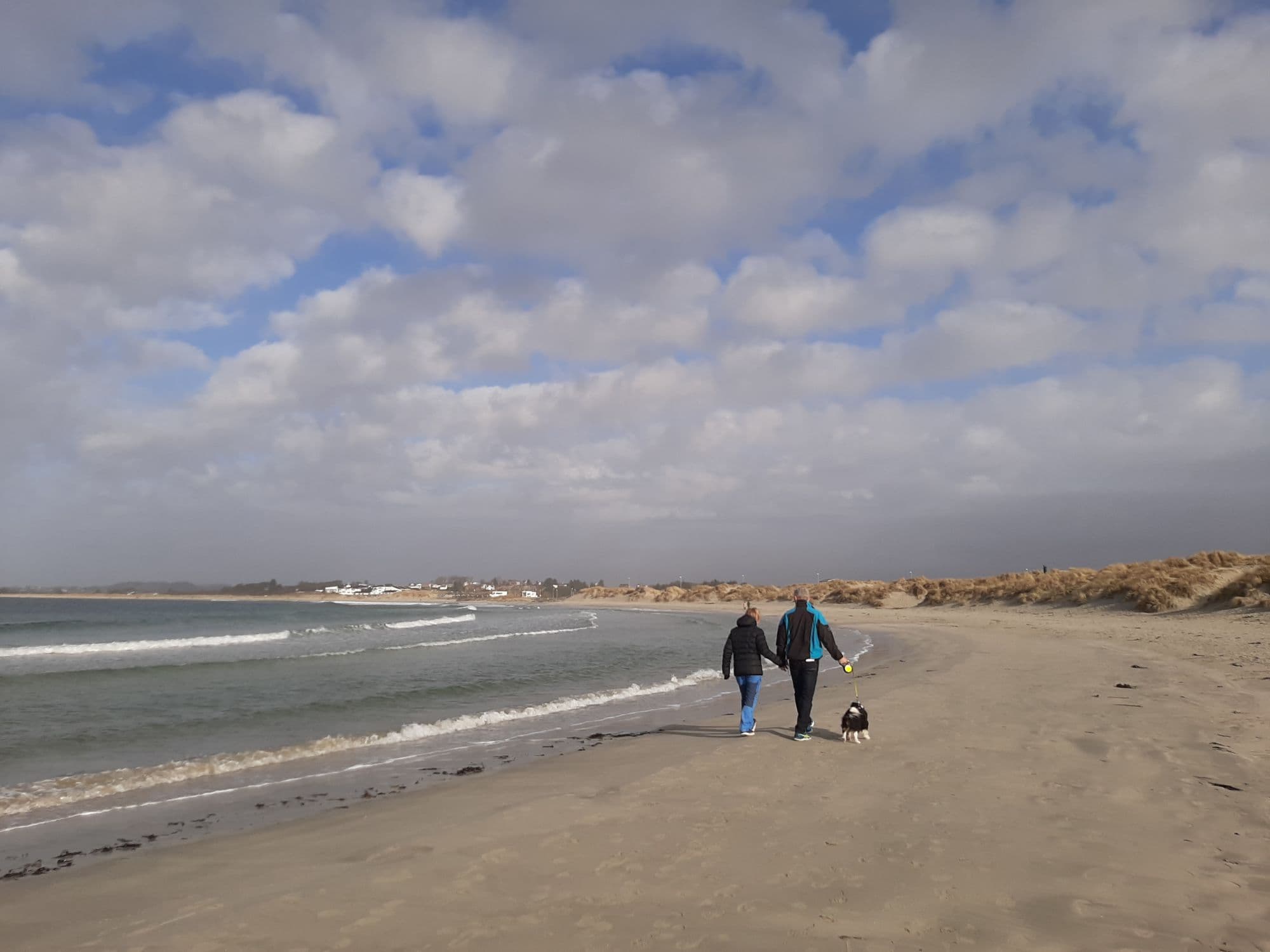 Couple walking dog on lead at beach Solastranden