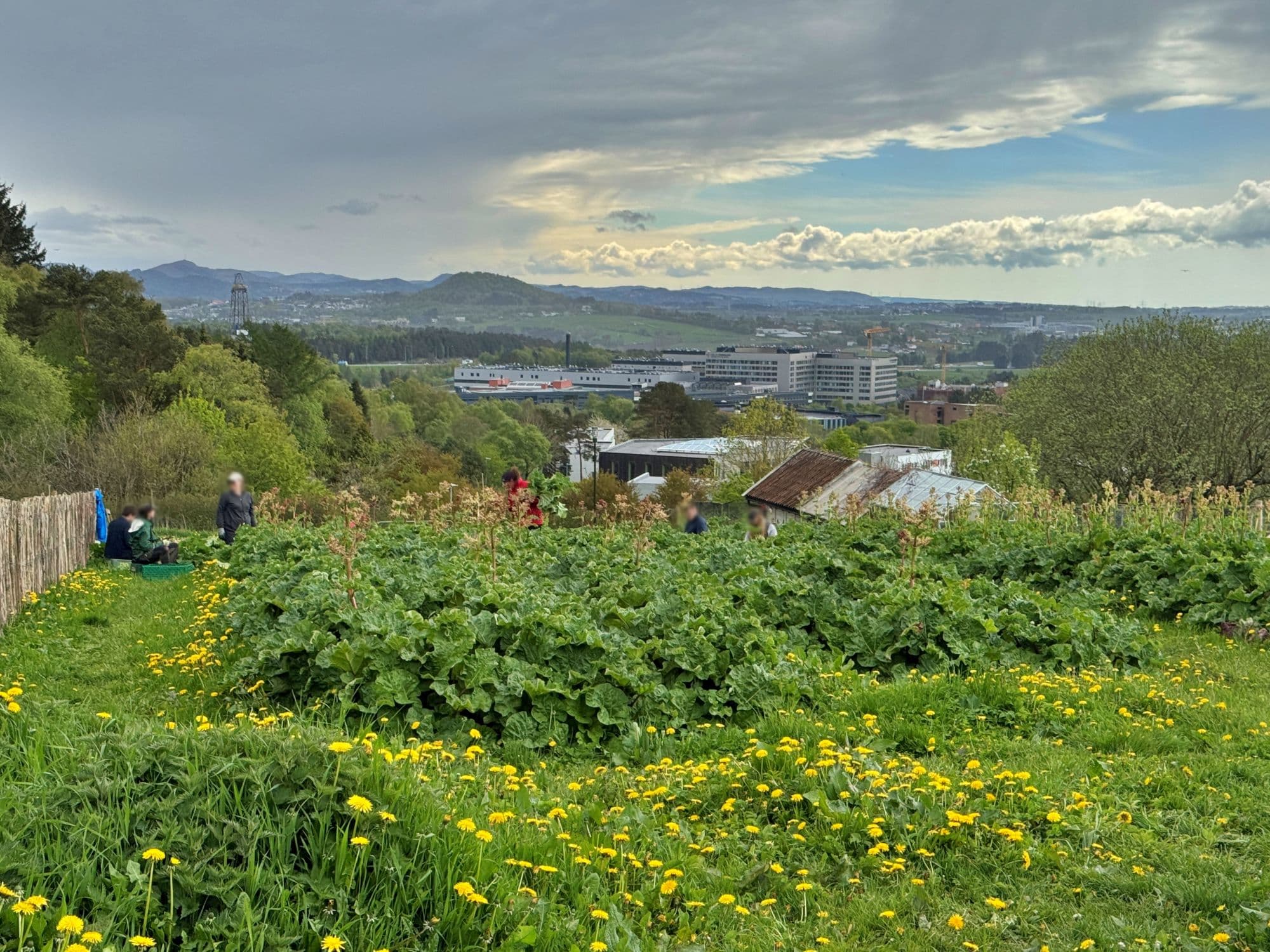 accessibility in sandnes